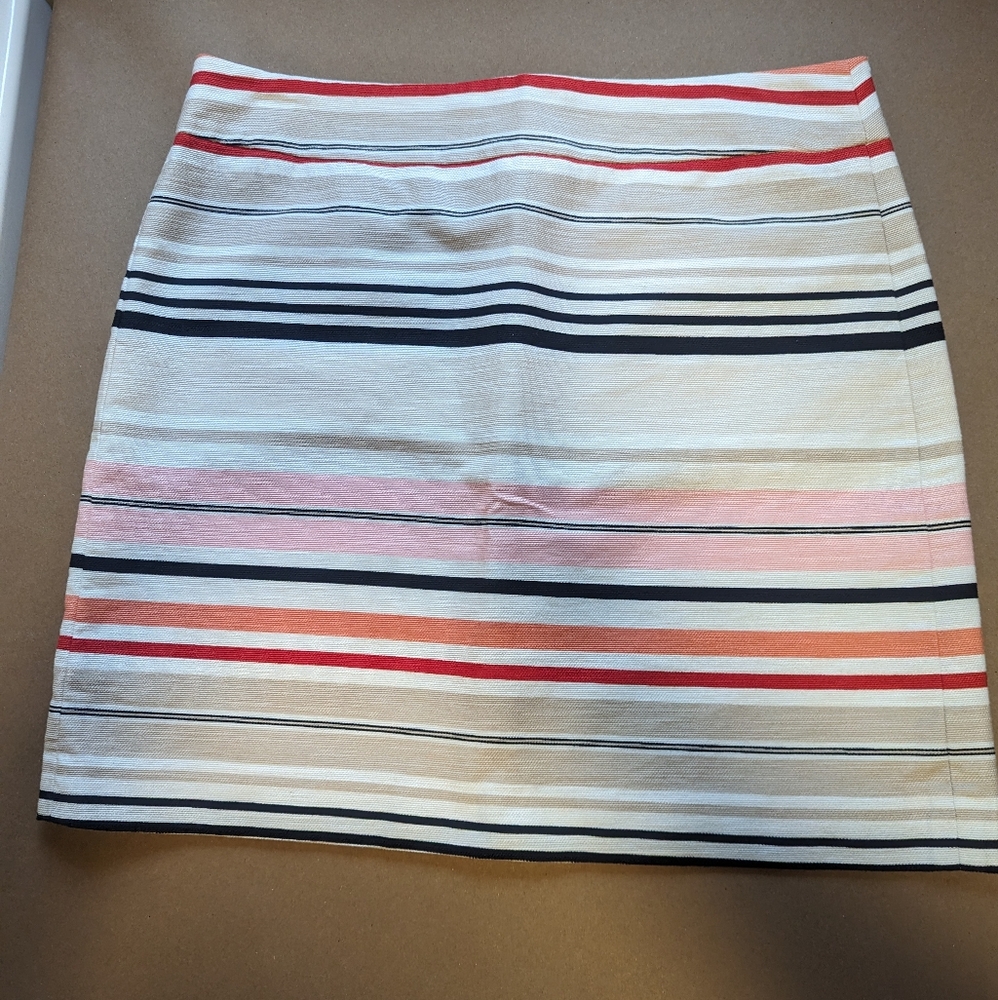 J Crew Skirt (Size 6)